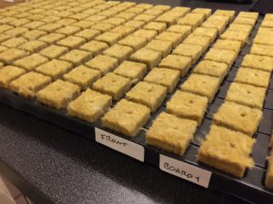 Hvordan så chili
